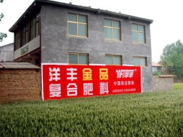 晴隆如何让墙体广告展现最大化效果