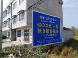 晴隆墙体广告质量分析