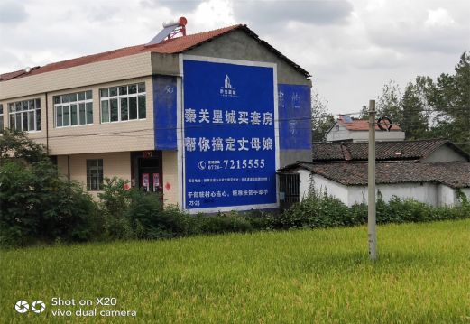 晴隆决定墙体广告价格的因素有哪些?