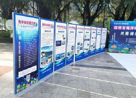 晴隆KT板的种类和知识。